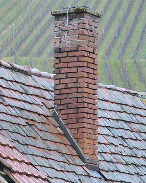 Tall chimney with moss and spalling, no repointing, slate roof with what appears to be grapevines in background